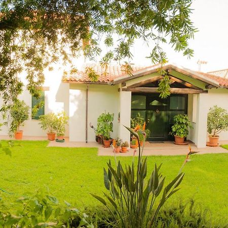 Villa Aurora Olbia Exterior photo